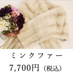 ミンクイメージ